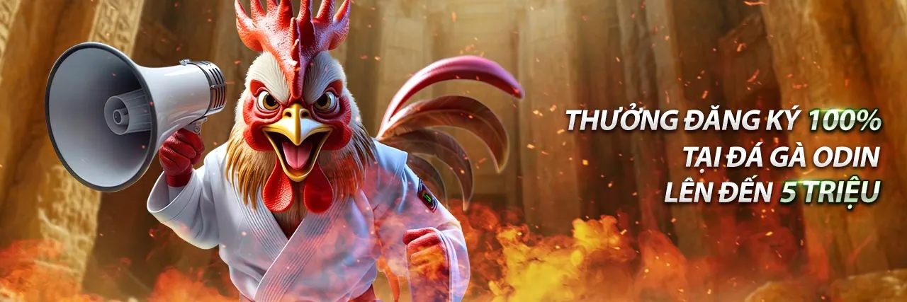 Đại lý casino trực tiếp của 5biz link mới